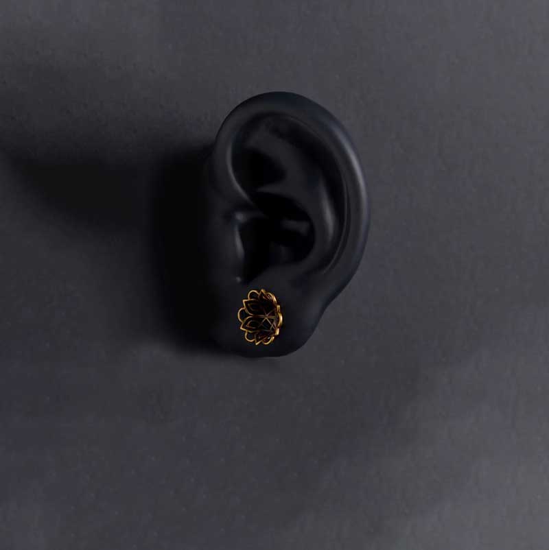 Alargador Crown Liz / 1 Par